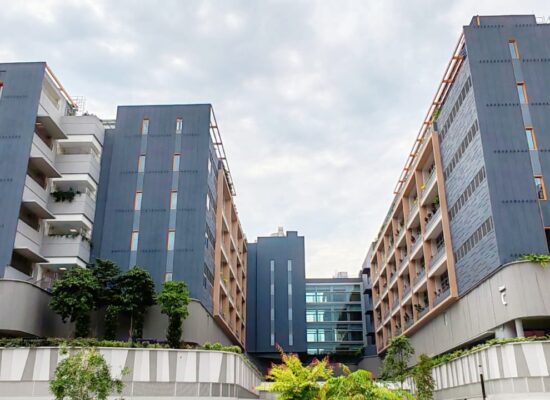 PHOTO-2024-07-09-10-47-41 3